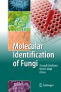 Molecular Identification of Fungi (Μοριακή ταυτοποίηση μυκήτων - έκδοση στα αγγλικά)